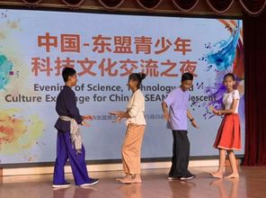 一帶一路共舞風(fēng)華 東盟青少年夜梧州展現(xiàn)民族情